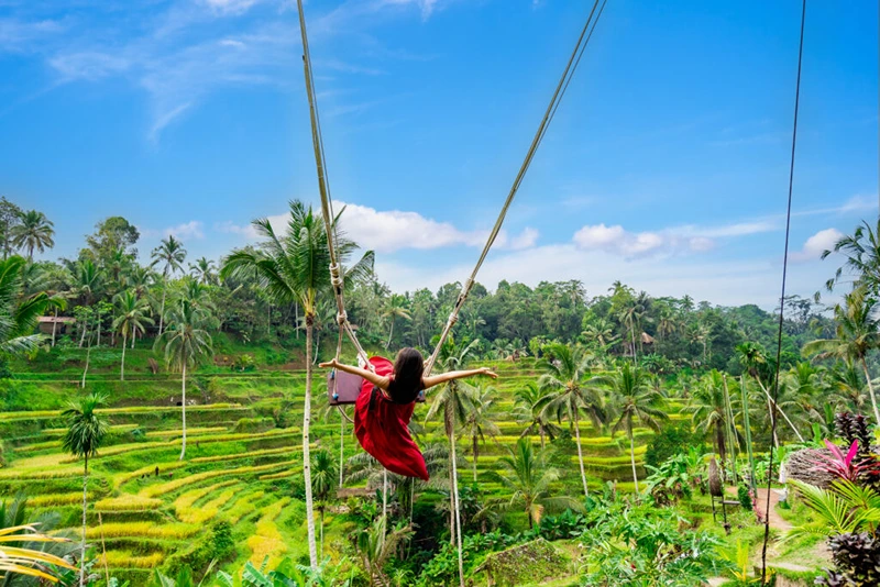 Bali-swing-at-tegalalang-rice-terrace-in-Bali-Indonesia