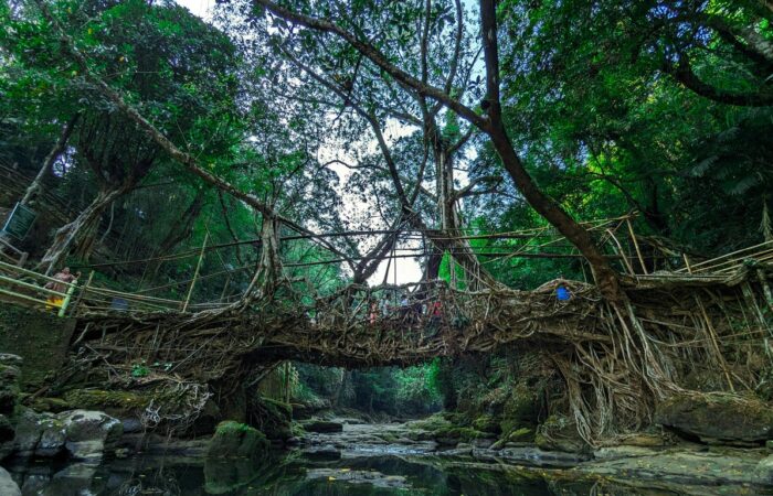 Cherrapunjee-The Land of Living Root Bridges and Waterfalls-Banner
