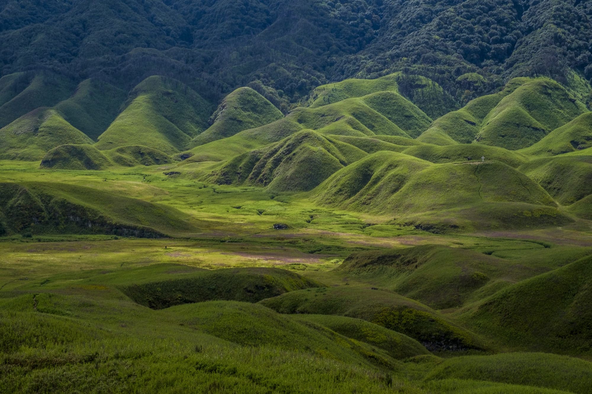 Dzukou Valley Nagaland - Only 200 Indians Can Visit This Place in India