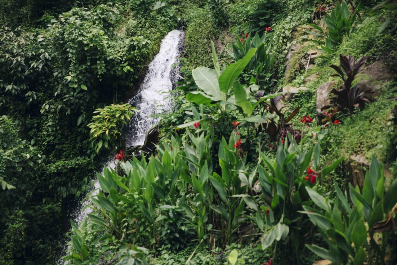 Gitgit waterfall at Bali, Indonesia Waterfalls in Bali