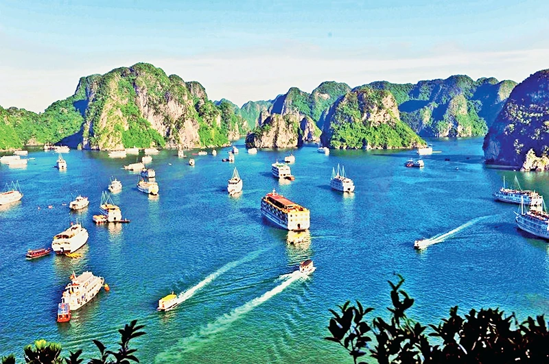 International Trips International Trips