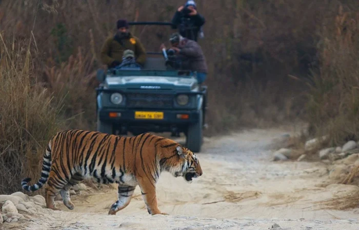Jim Corbett National Park