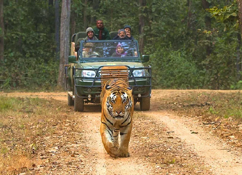 Kanha National Park Kanha National Park