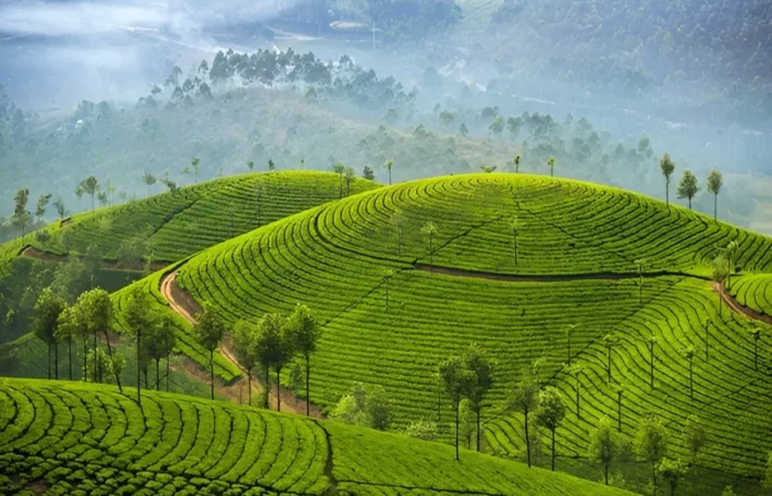 Kerala Tour for Monsoon