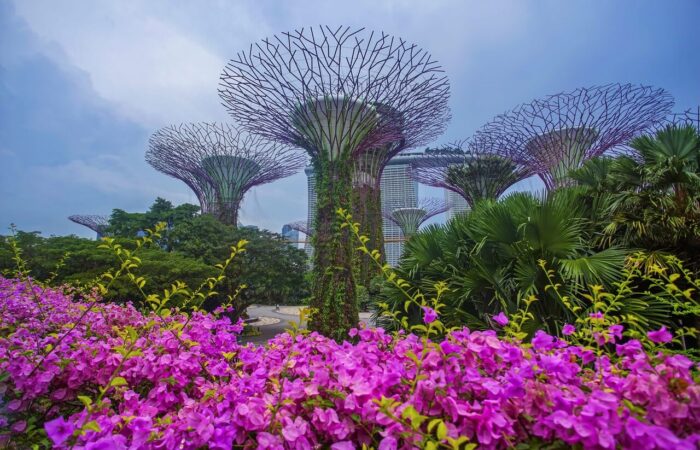 Gardens by the Bay - Singapore Tour Packages
