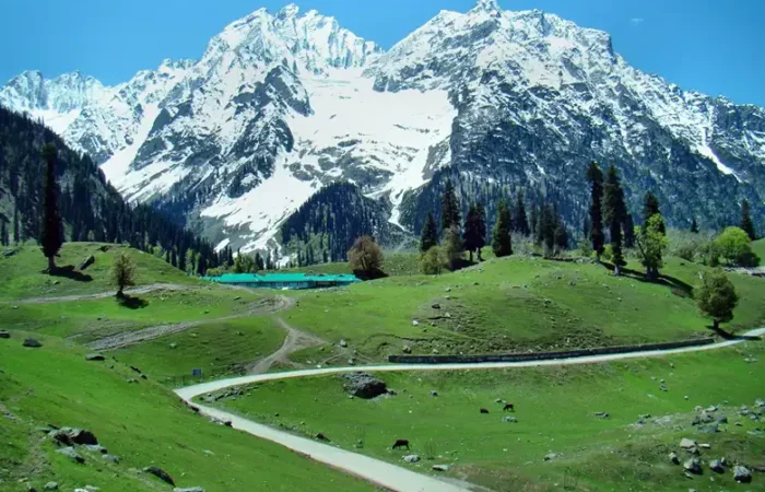 Sonmarg - Meadows of Gold in White