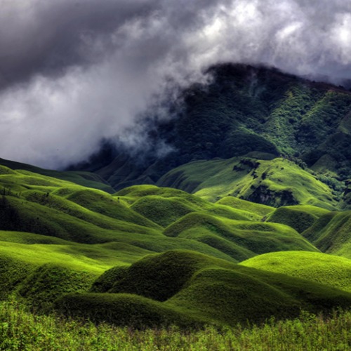 Nagaland Tour Package