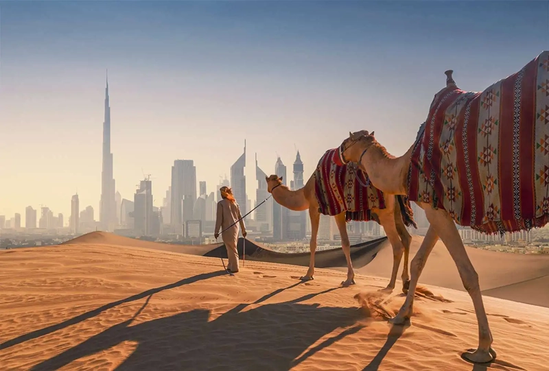 Travel Guide to Dubai