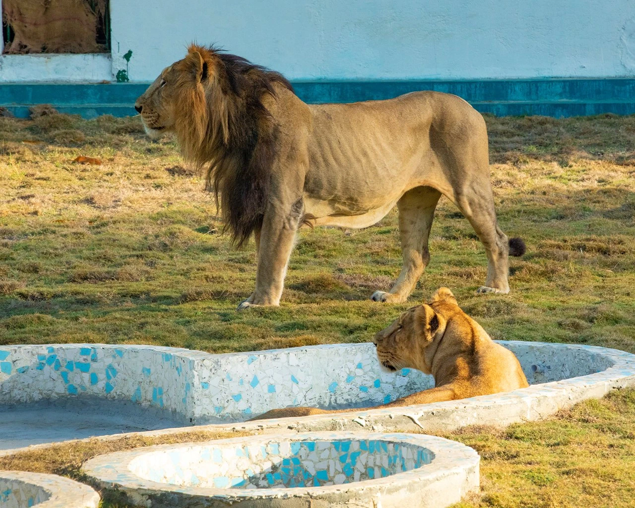 Visit to the Statue of Unity - A Comprehensive Guide