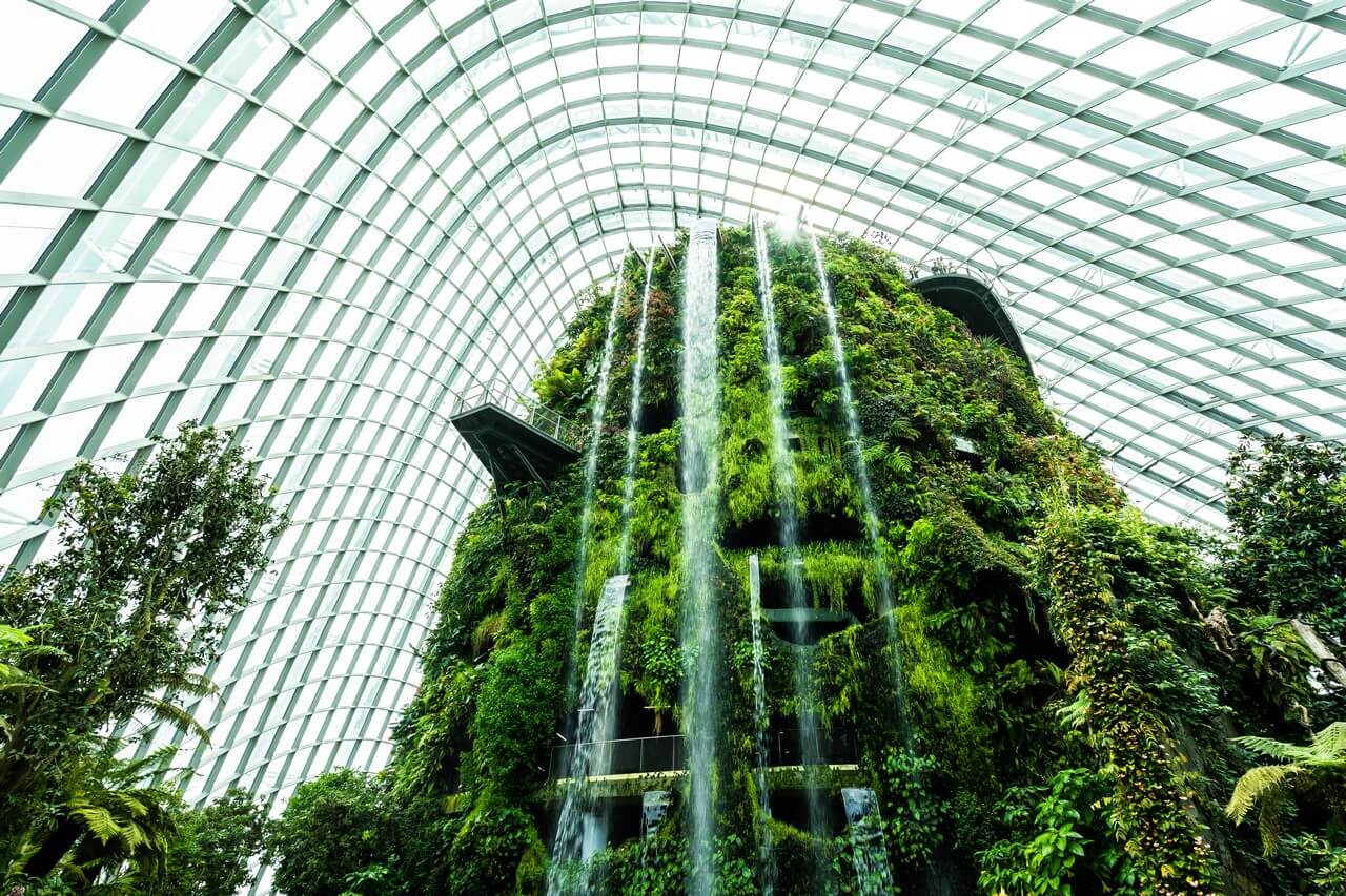 flower-dome-garden-greenhouse-forest-travel Gardens by the Bay - Singapore Tour Packages