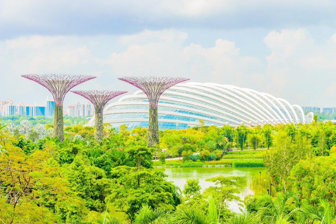 garden-by-bay Gardens by the Bay - Singapore Tour Packages