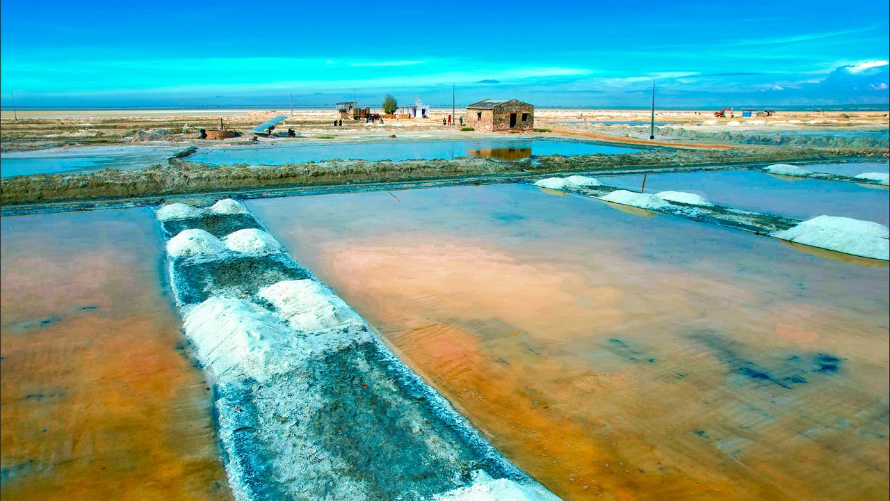 sambhar-lake-jaipur-rajasthan Sambhar Lake Day Trips from Jaipur